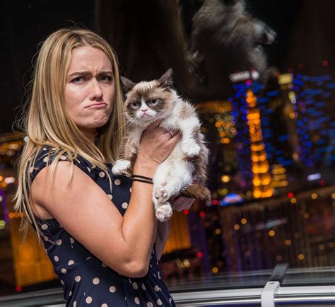 Grumpy Cat Choupette Ces Chats Qui Rapportent
