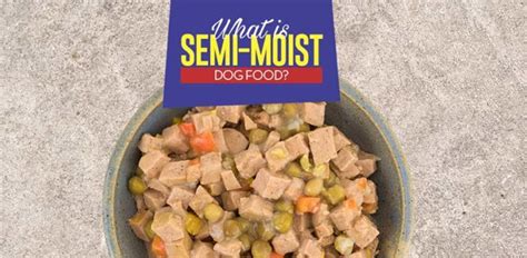 Semi Moist Dog Food What It Is How It Compares And Best