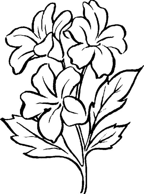 Free Clip Art Flowers Black And White