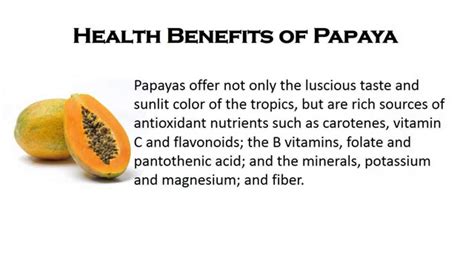 12 Health Benefits Of Papaya