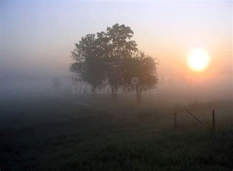 Morning Fog Sunrise On Foggy Morning In The Countryside Sponsored