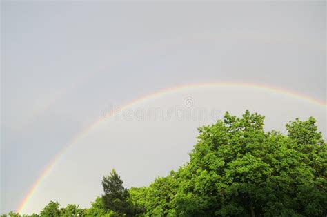 Double Rainbow Over Green Trees Stock Photo Image Of Canada Levis
