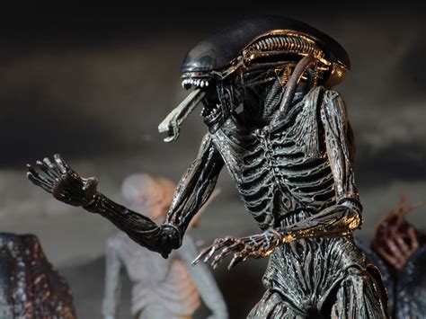 Do you like this video? Alien Covenant 7" Action Figure - Xenomorph