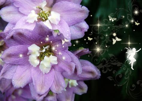We did not find results for: All Fun Here: Magic Flowers