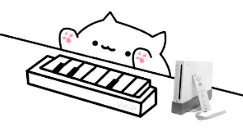 The Story Behind Bongo Cat The Adorable Music Meme Thats Taking Over