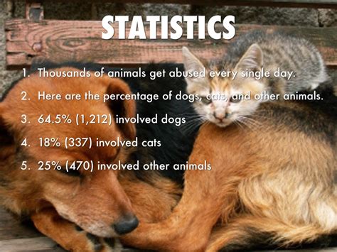 How Many Dogs And Cats Are Abused Every Year