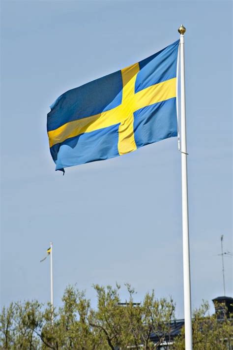 SVT: 58 prosenttia Ruotsissa tuomituista raiskaajista tulee Euroopan ...