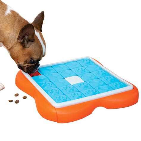 Challenge Slider Interactive Treat Puzzle Game Dog Toy Best Friends