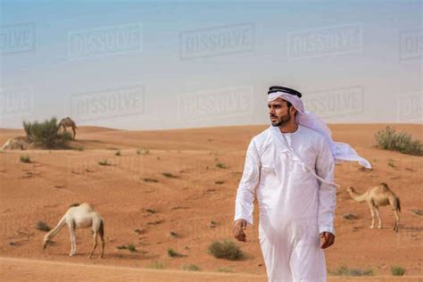 Middle Eastern Man Wearing Traditional Clothes Walking Away From Camels