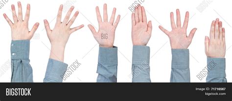 Set Female Palms Five Image And Photo Free Trial Bigstock