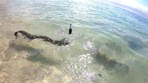 Shore casting in Mauritius #fishing - YouTube