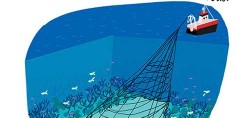 Deep Sea Bottom Trawling Is Killing Our Oceans Huffpost