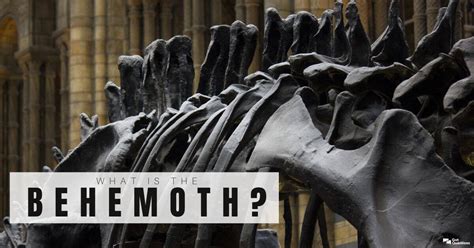 What is the behemoth? | GotQuestions.org