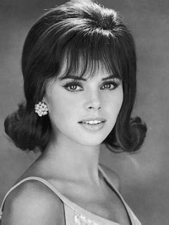 Variety of short hairstyles 1960s women hairstyle ideas and hairstyle options. Pin on 1960s Hair