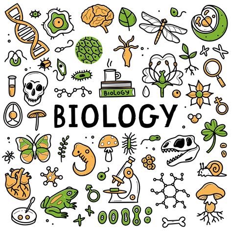 Biology Doodle Set Collection Of Hand Drawn Elements Science Biology