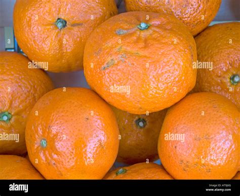 Mandarin Orange Citrus Reticulata For Sale Stock Photo Alamy