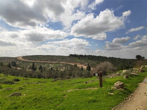 Adullam Grove Nature Reserve Beit Shemesh 2020 All You Need To Know