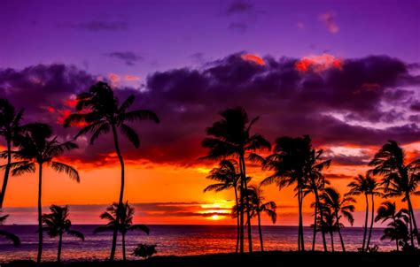 Hawaiian Purple Sunset Wallpapers Gallery