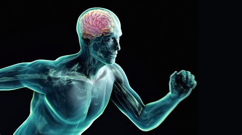 Brain Why Exercise Boosts Iq Bbc Future