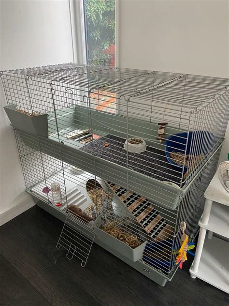Indoor Double Rabbit Or Guinea Pig Cage 120cm In Chelmsford Essex