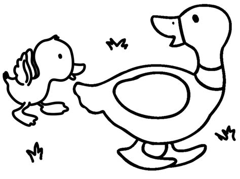 Dibujos para dibujar facilmente y divertirse. Dibujos de animales para colorear, pintar e imprimir gratis