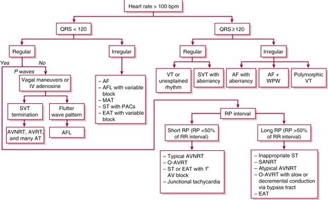 Supraventricular Tachyarrhythmias Washington Manual Of Medical