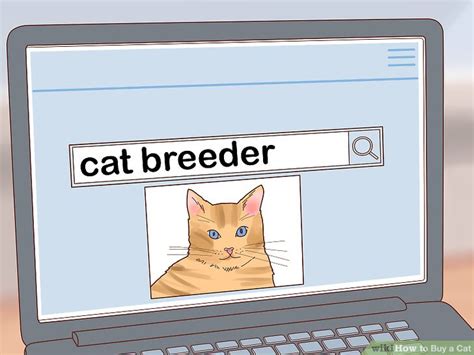 Cats are fully vaccinated and dewormed 5. How to Buy a Cat: 13 Steps (with Pictures) - wikiHow