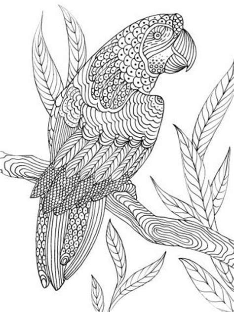 Birds circle pattern zentangle hand drawn birds with abstract. Free Parrot coloring pages for Adults. Printable to ...