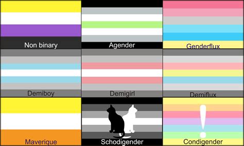Non Binary Flag Meaning About Flag Collections