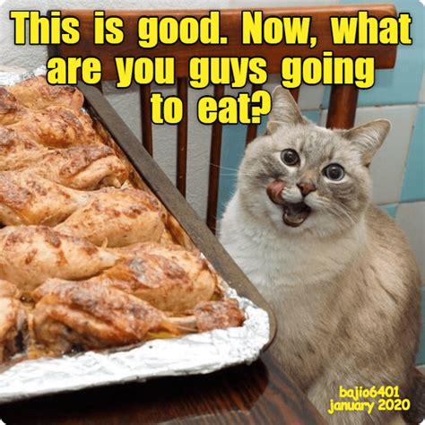 I DON T SHARE Lolcats Lol Cat Memes Funny Cats Funny Cat