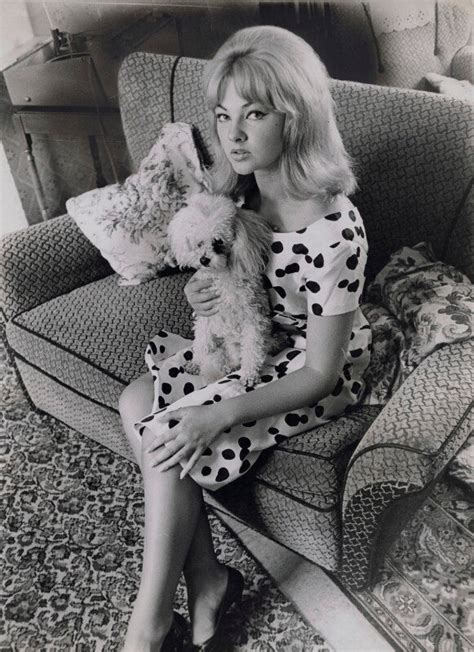 Mandy Rice Davies With Her Poodle Portrait Print National Portrait Gallery Shop