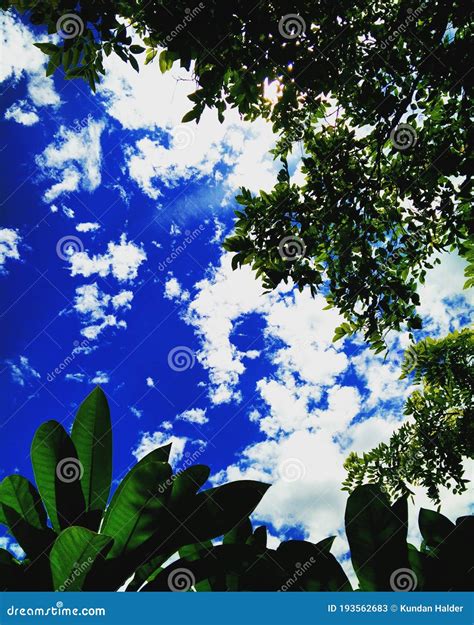 Beautiful Blue Sky And White Clouds With Green Leaf View Stock Image