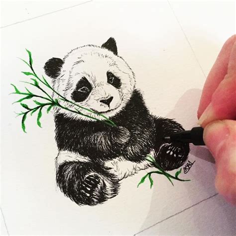 Best 25 Panda Drawing Ideas On Pinterest Panda Drawing Easy Cute