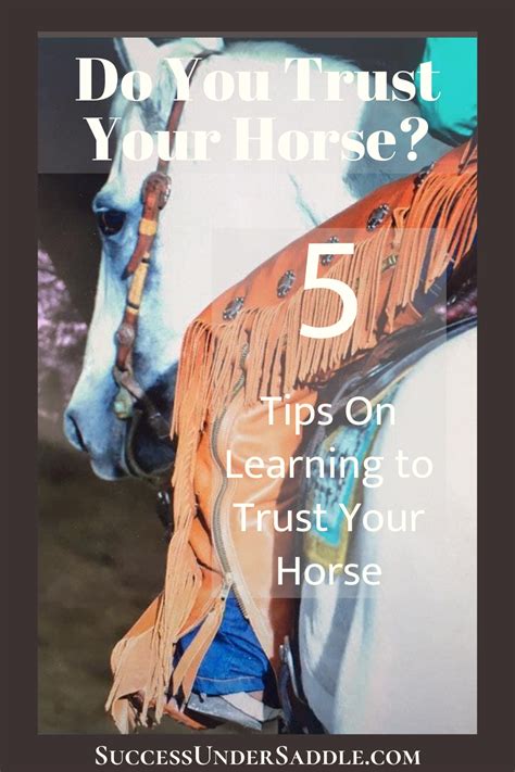 How To Trust Your Horse Horseback Riding Tips Horse Care Horse Health