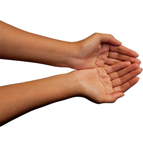 Stretches For The Arm Extensor And Flexor Healthy Living