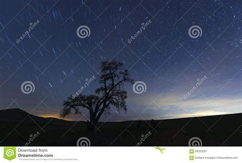 Lone Tree At Night Stock Image Image Of Lone Eastern