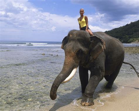 Woman Riding An Elephant At The Beach Tiere