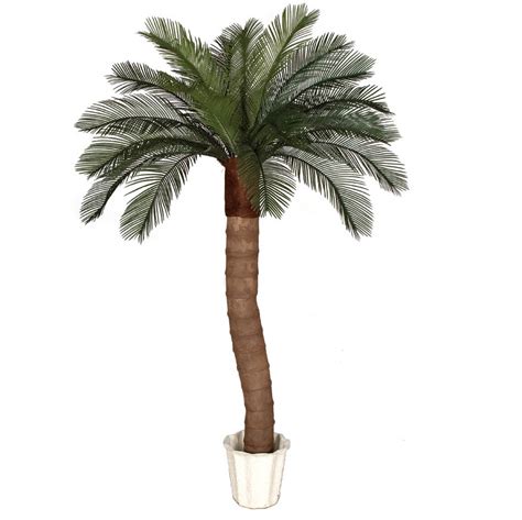 6 Foot Artificial Outdoor Cycas Palm Tree Ribbed Synthetic Trunk And 24