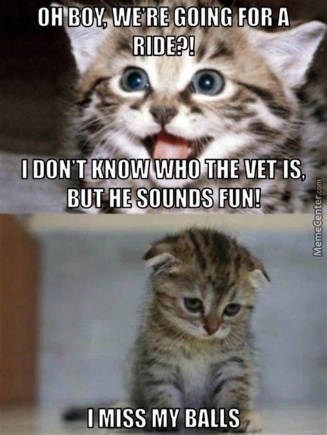 If you are a veterinarian, vet student, vet tech, vet nurse, vet assistant or other veterinary professional and would like to get flair, please refer to the wiki should i feed grain free dog food? Vet Memes. Best Collection of Funny Vet Pictures