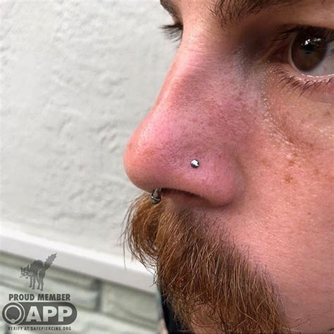 Nostril Piercing With A Neometal Disk Done By Sarah Dating Personals