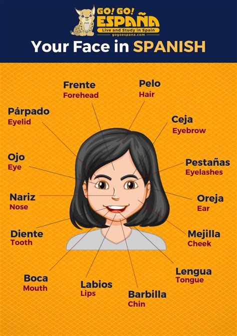 Your Face In Spanish Learning Spanish Spanish Basics Spanish Language