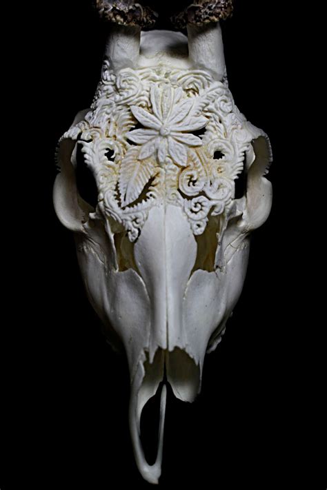 Choose your favorite animal skulls designs and purchase them as wall art, home decor, phone cases, tote bags, and more! roe deer skull, skull carving, shipping worldwide, nicole ...