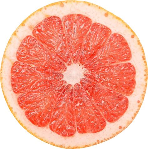 Grapefruit Slice Stock Photo Image Of Desert Healthy 27974270