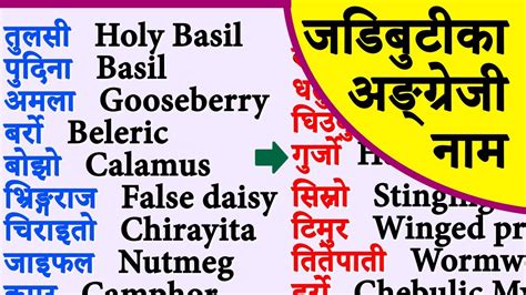 Names Of Medicinal Herbs In English And Nepali Youtube
