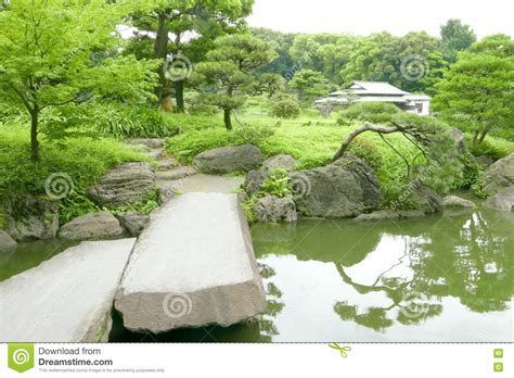 Stone Bridge Japanese Pavilion Pinus Thunbergii Tree Stock Photo