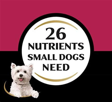 Dry foods do not contain moisture which means you get more calories for one big perk of pate food for senior dogs is you can easily hide medication in it. Cesar Small Breed Dry Dog Food, 2.7 Pounds - Chihuahua Kingdom