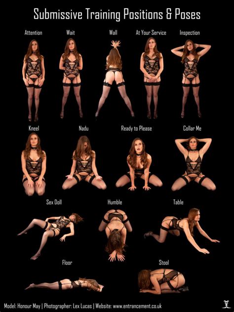 Submissive Training Positions And Poses Freewind