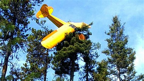 Pilot Rescued From Plane That Crash Landed Atop Idaho Tree