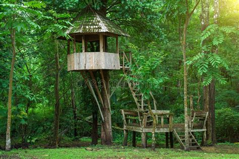 Tree House In Deep Forest Stock Photo Image Of Mystical 185972688