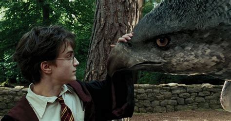 Последние твиты от harry potter film (@harrypotterfilm). Harry Potter: 20 Creatures Ranked From Weakest To Strongest, Officially Ranked